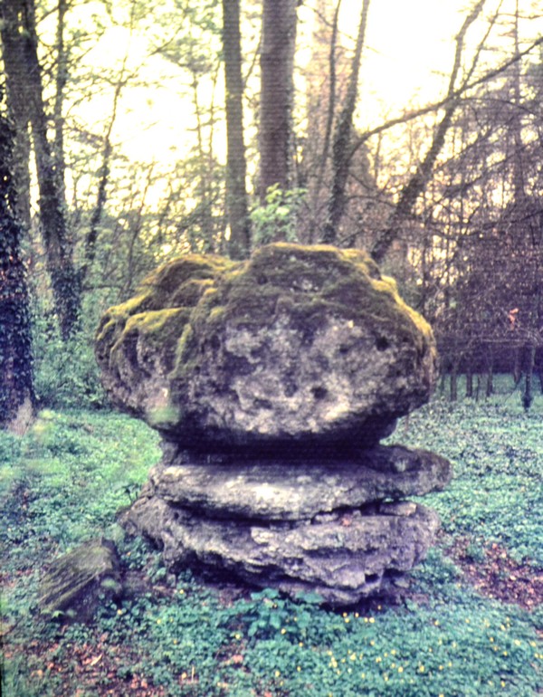 La pierre druidique ou pierre croûte de Bellignies.