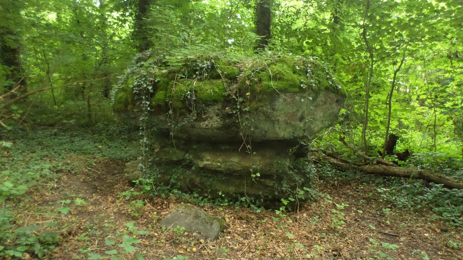 La pierre druidique de Bellignies dîte Pierre Croûte.