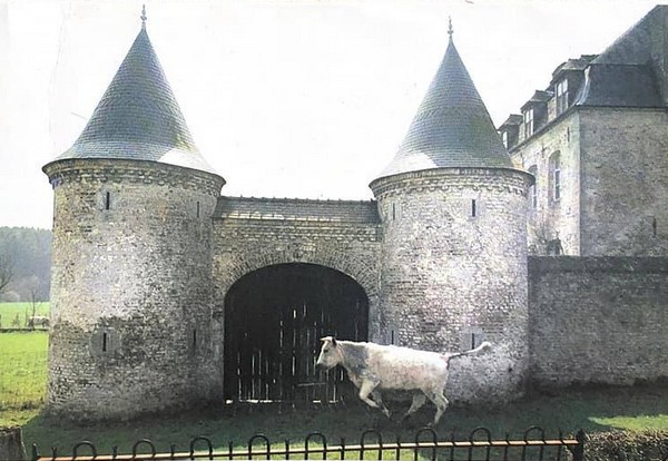 Le Château Maillard à Eppe Sauvage, carte postale