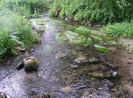 Ruisseau de l'Escrière à Colleret
