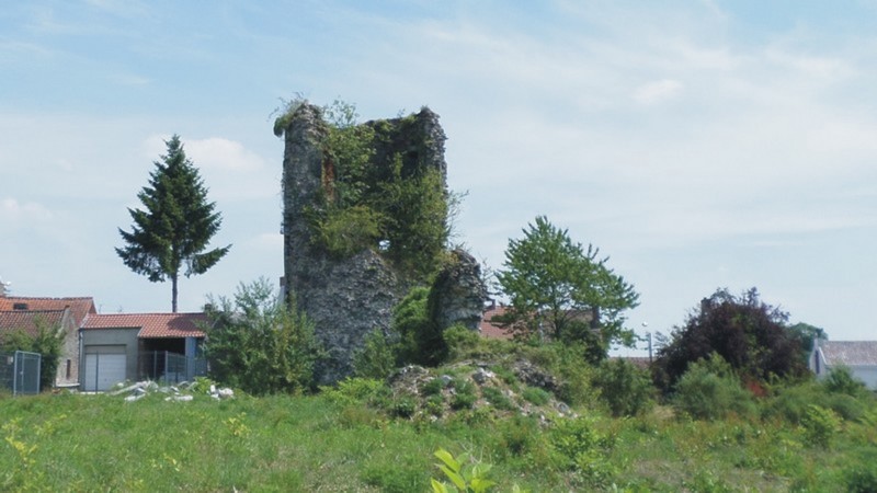 Photos de l'Avesnois, Les ruines du château de Jeumont, commune de l'Avesnois