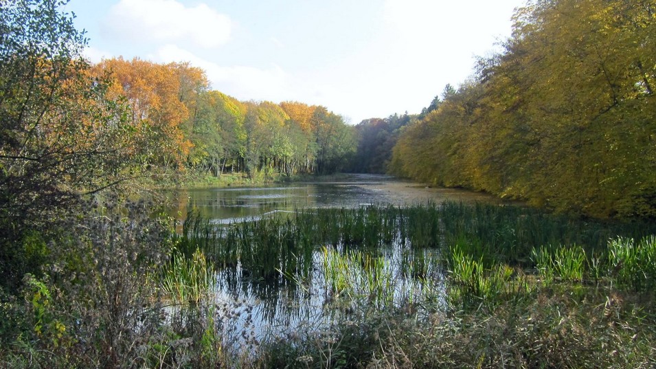 L'étang des Apôtres dans le Parc de l'Abbaye à Liessies.