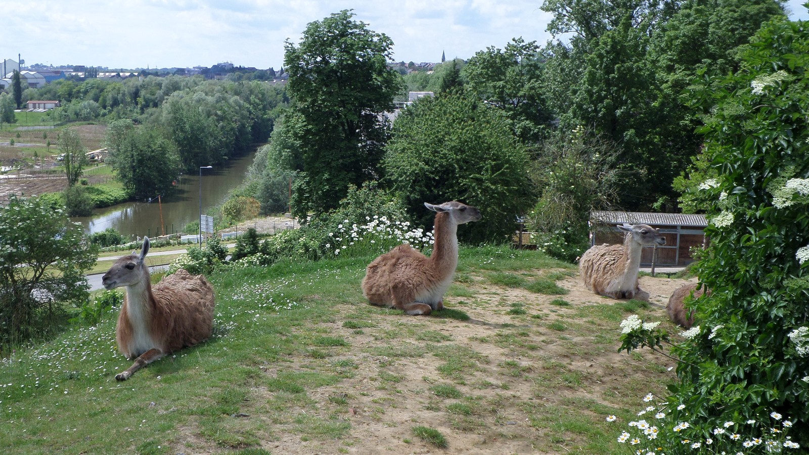 Zoo de Maubeuge