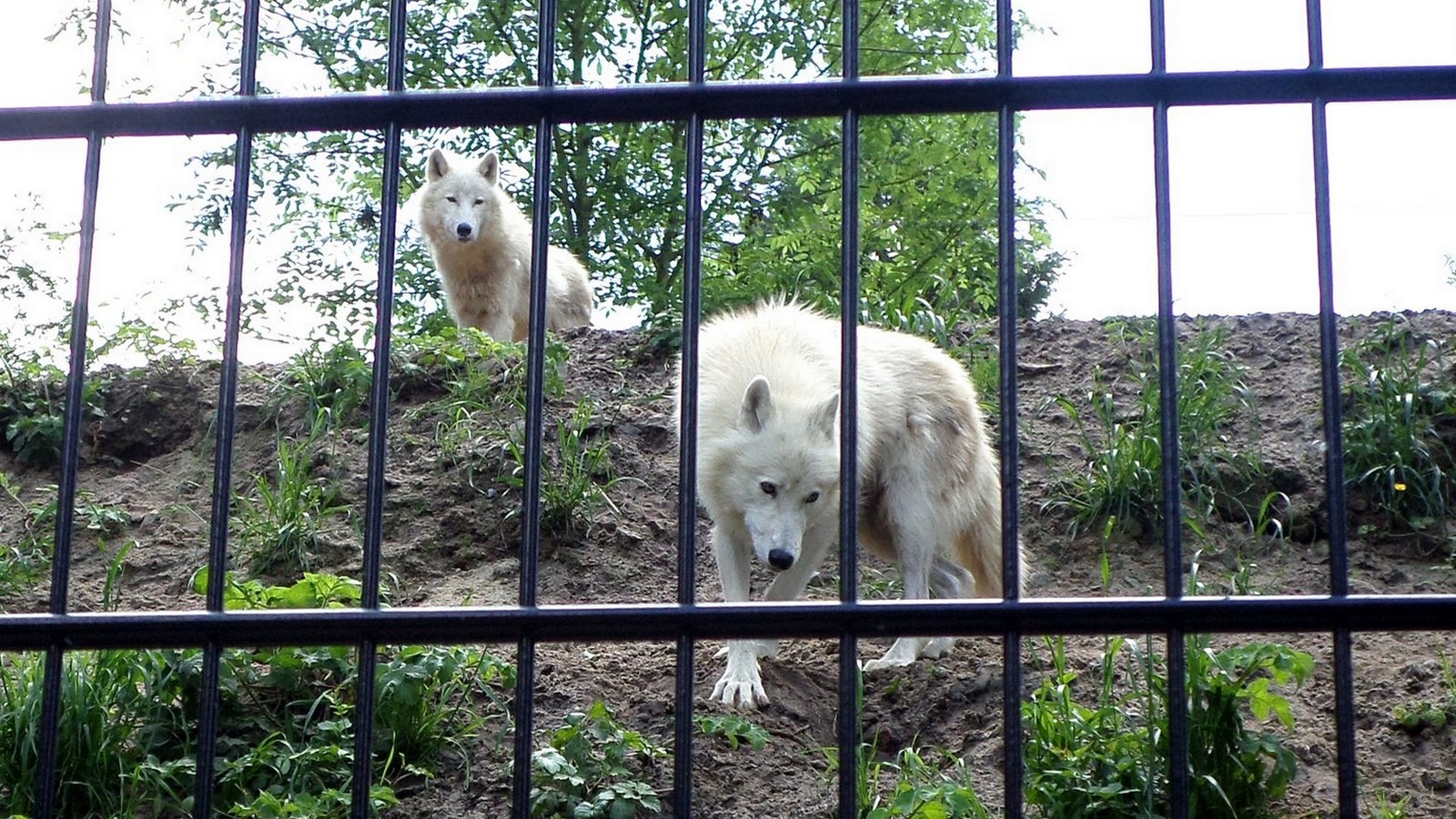 Zoo de Maubeuge