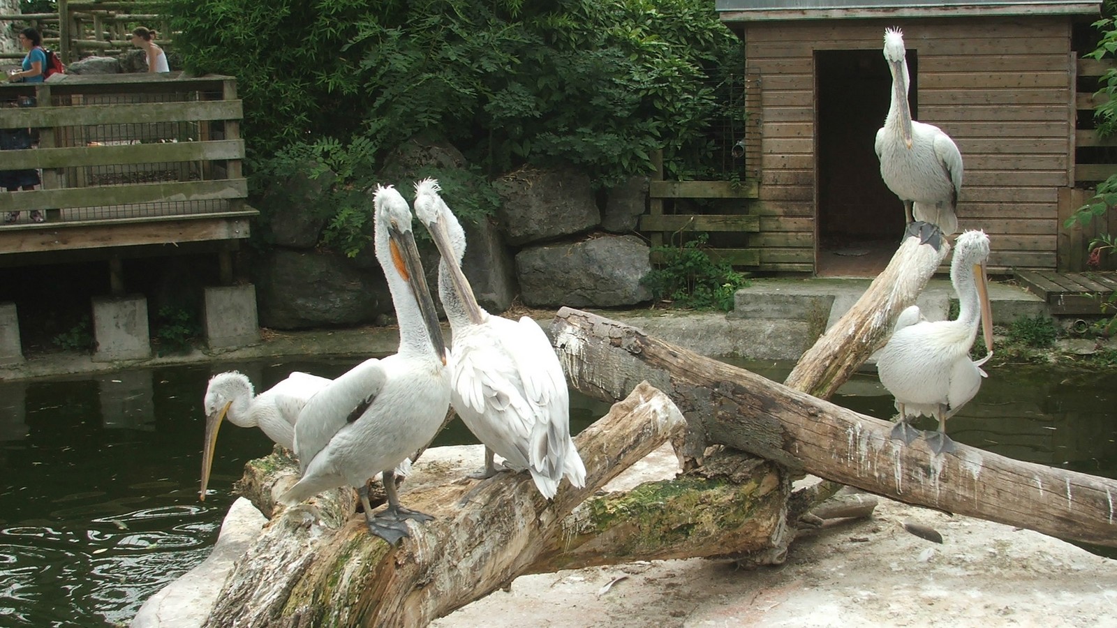 Zoo de Maubeuge