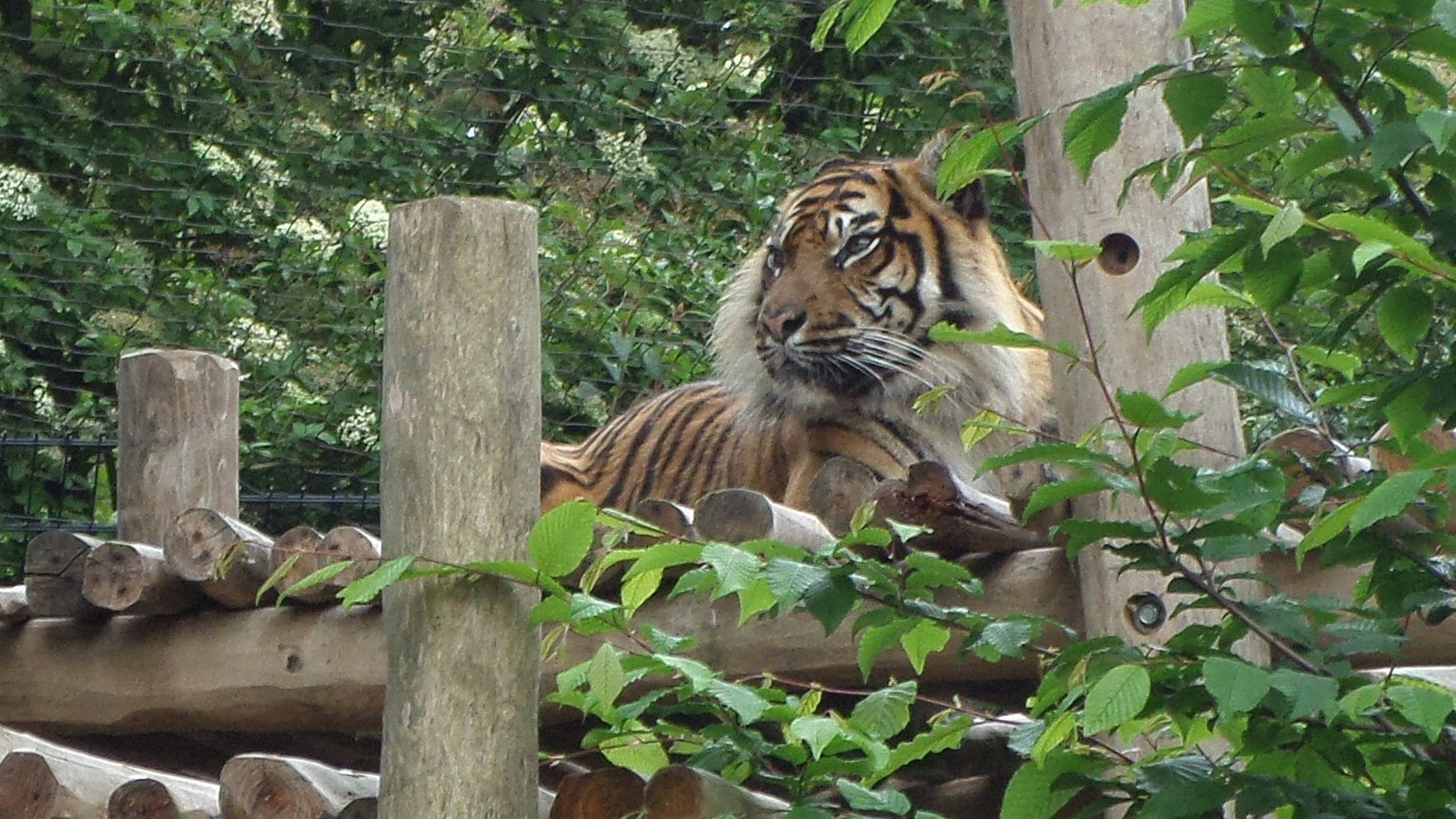 Zoo de Maubeuge
