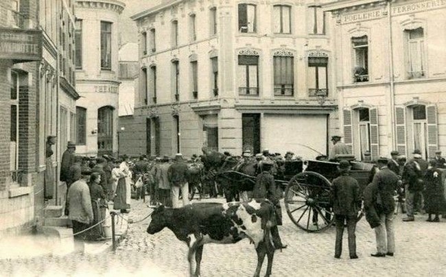 Cartes postales anciennes de Maubeuge, marché aux vaches