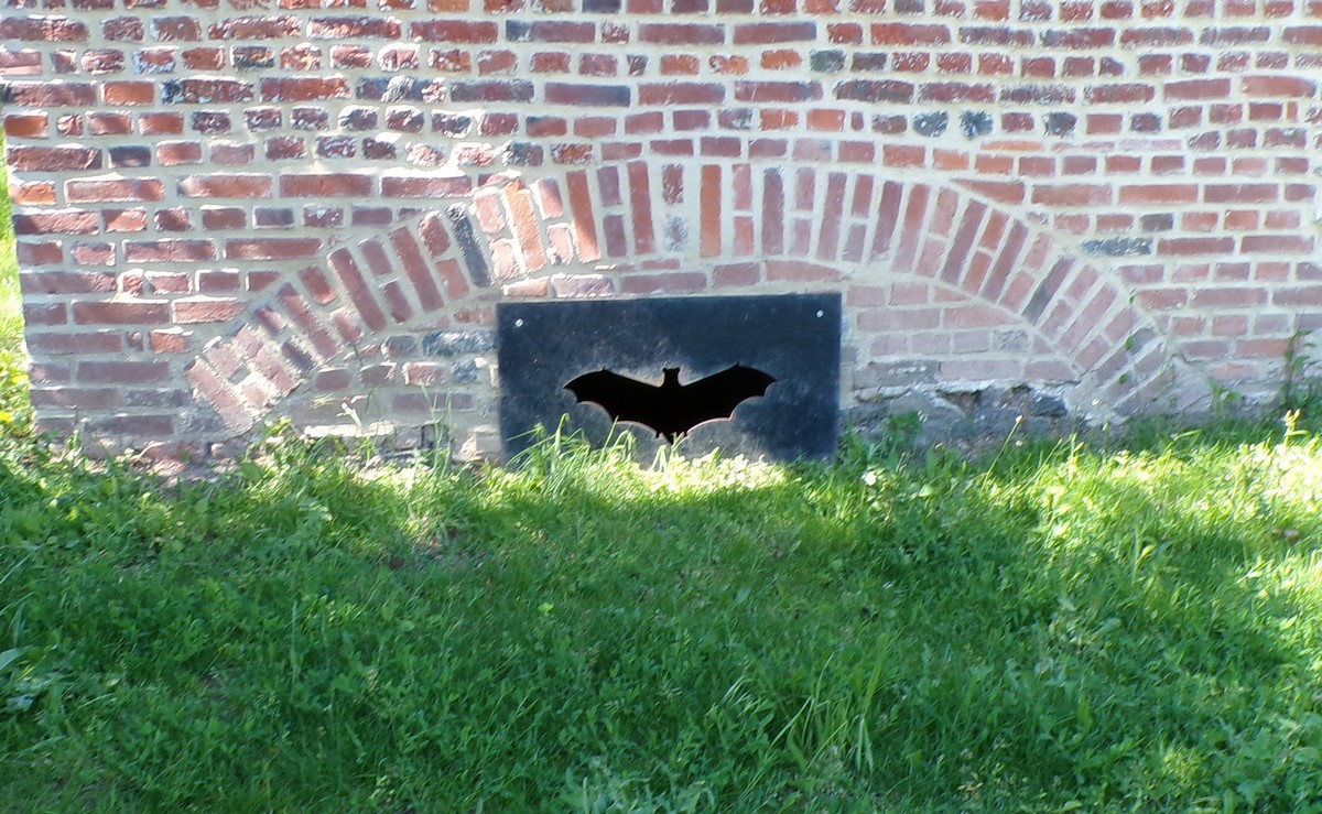 La Maison du Sabotier à Jolimetz, chauve souris
