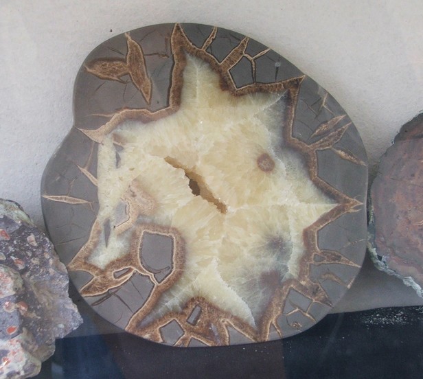 Musée des Minéraux et des Fossiles à Landrecies