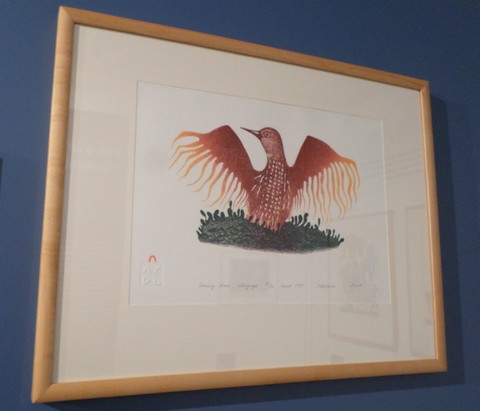Musée Henri Boëz, oiseau