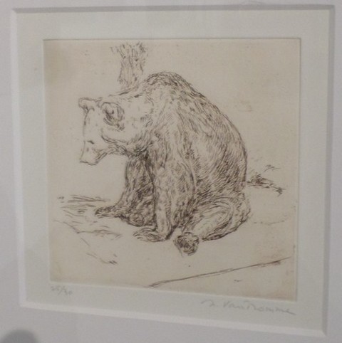 Musée Henri Boëz, ours
