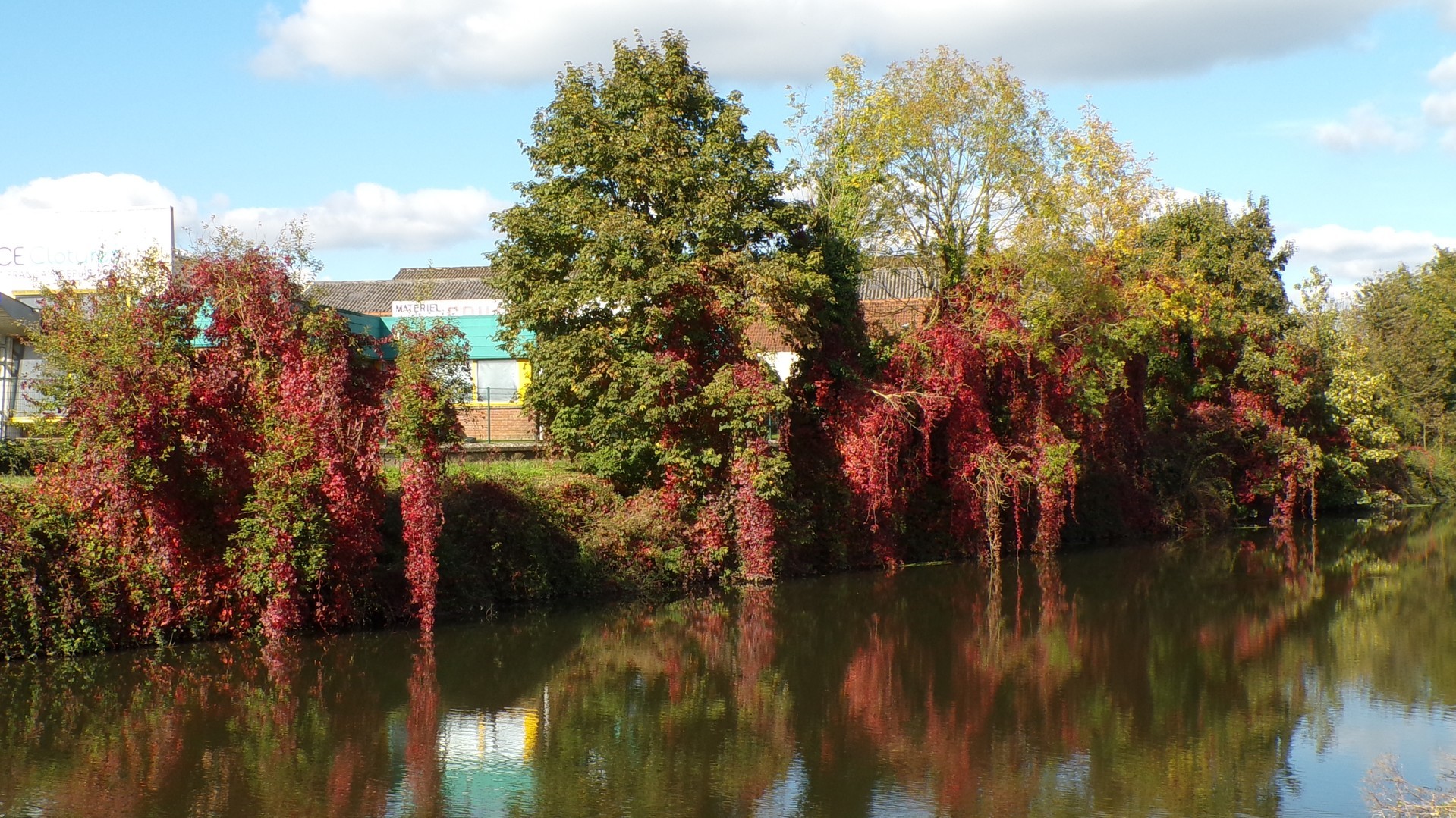 La rivière Sambre, paysage d'automne