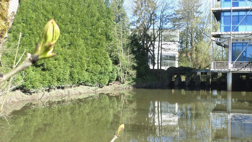 Ecluse de Pont sur Sambre